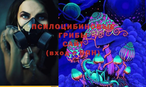 spice Михайлов