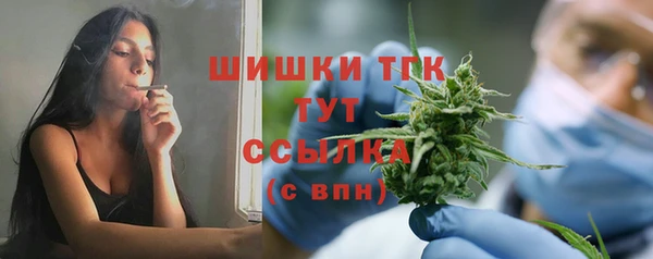 spice Михайлов