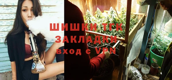 spice Михайлов
