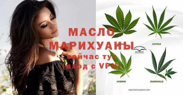 spice Михайлов
