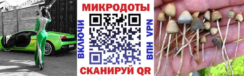 Псилоцибиновые грибы мухоморы  Сычёвка 